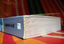 ‘Кое-что о Билли’ Дугги Бримсон Книга Дугги Бримсона Кое-что о Билли - Stone Forest