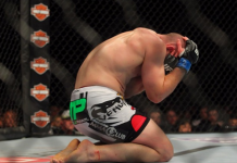 Подборка травм UFC 159 Jones vs Sonnen UFC 159 Jones vs Sonnen - Stone Forest