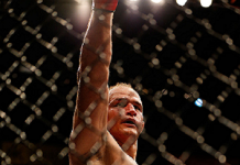 UFC 160 Джуниор Дос Сантос на UFC 160 - Stone Forest