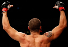 UFC on FX 8 UFC on FX 8 - Stone Forest