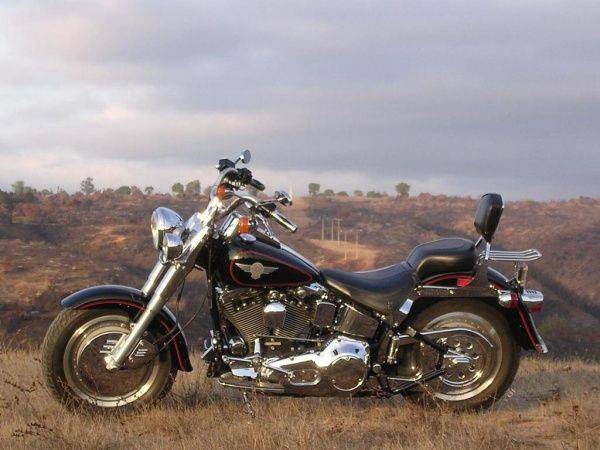 Harley-Davidson Fat Boy - Stone Forest