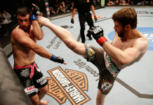 UFC 161 Бой на UFC 161 - Stone Forest