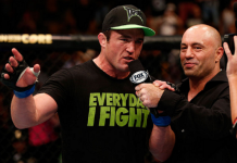 UFC Fight Night Shogun Rua vs Chael Sonnen Речь Чейла Соннена - Stone Forest