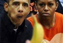 Очередная история с бананом Обама, банан и Роднина - Stone Forest