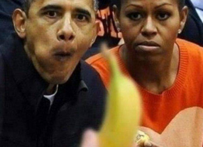 Обама, банан и Роднина - Stone Forest