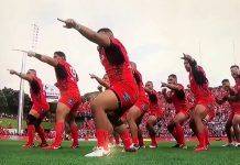 Антихака или Мы мало что знаем о мировом регби Антихака Тонга - Каменный лес Stone Forest