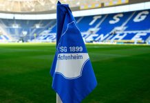 Безбашенный футбол – это неэффективно, зато круто Стадион ФК Хоффенхайм - Каменный лес Stone Forest