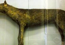 Булленбейцер – быкодав