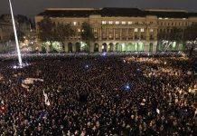 Самые интересные политические акции Интересные политические акции - Stone Forest