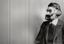 Эрнст Аббе – автор теории микроскопа