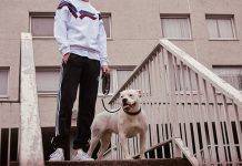 Palace Skateboards x adidas Originals Palace Skateboards x adidas Originals - Stone Forest