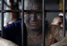 Татуировки на американской зоне Татуировки на американской зоне - Stone Forest