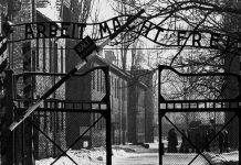 Концентрационный лагерь Аушвиц, каким его увидела Красная Армия Вход в Аушвиц глазами советских солдат - Stone Forest