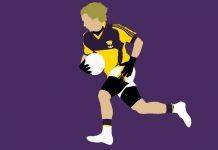 Гэльский футбол – ирландская забава Гэльский футбол - Stone Forest