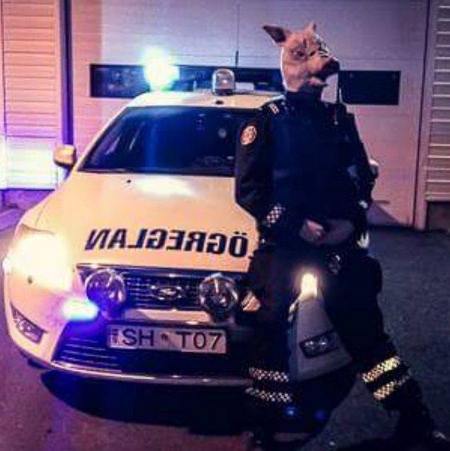 Instagram-исландских-полицейских-6