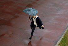 Устойчивые к штормовому ветру зонты Senz Зонты senz umbrellas - Stone Forest