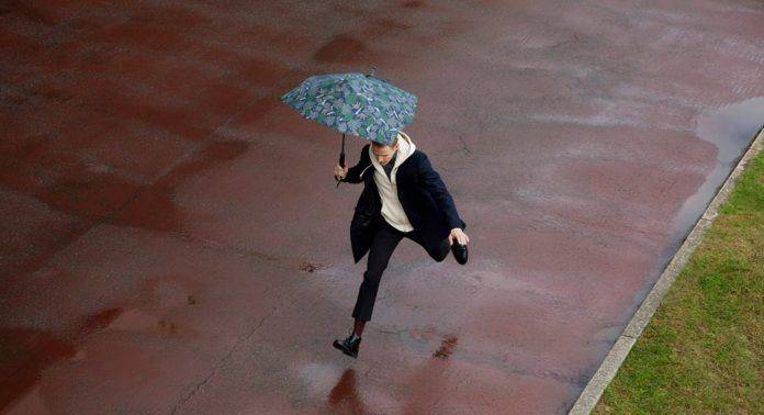 Зонты senz umbrellas - Stone Forest