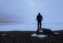 Взгляд из Арктики Полярник из Арктики - Stone Forest