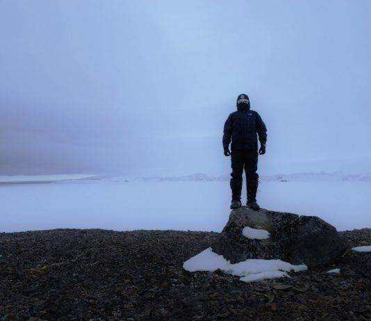 Взгляд из Арктики Полярник из Арктики - Stone Forest