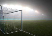 Скромный новичок АПЛ – ‘Брайтон энд Хоув Альбион’ Брайтон энд Хоув Альбион - Stone Forest