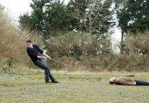 Очень плохое кино: «Трейдеры» Фильм Трейдеры - Stone Forest