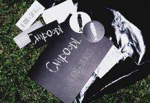 Новый российский бренд одежды Chipoodl. BE KIND + SAY HELLO Chipoodl - Stone Forest