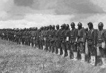 Фотографии 369-ого пехотного полка армии США времен Первой мировой войны 369-й пехотный полк армии США - Stone Forest