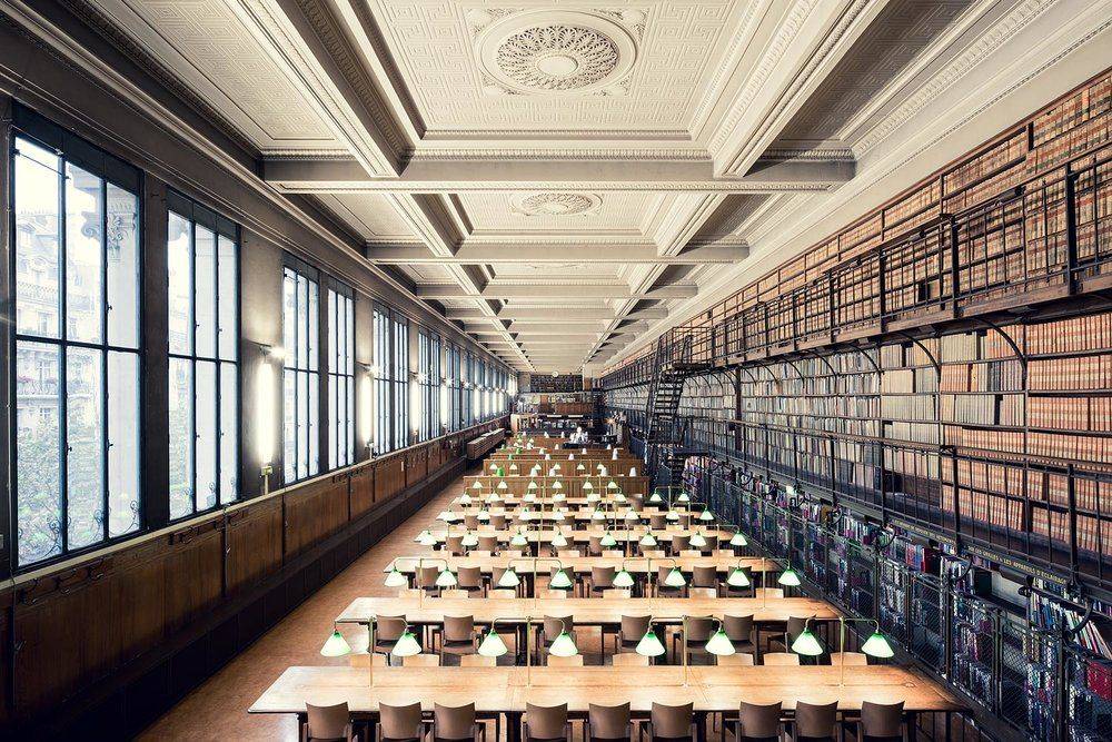 Bibliothèque de Médecine Paris - Stone Forest