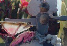 Black Star по-британски от Nowness Black Star Nowness - Каменный лес Stone Forest