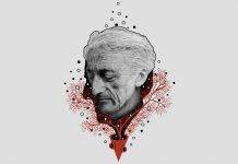 Самые интересные книги Жака Ива Кусто Самые интересные книги Жака Ива Кусто - Stone Forest