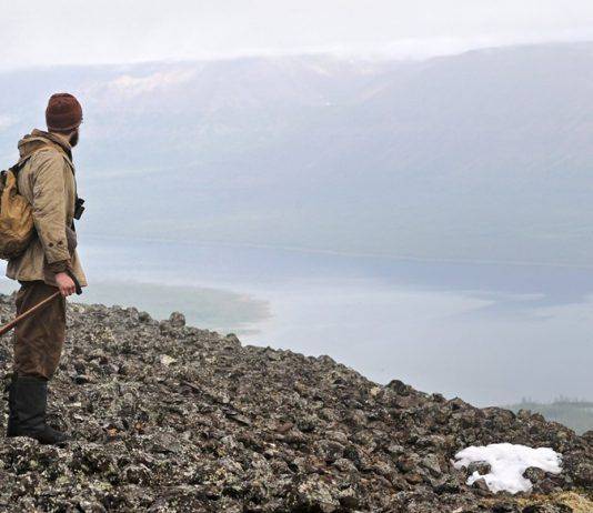 Советские и российские фильмы про путешествия Советские и российские фильмы про путешествия - Stone Forest