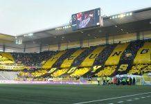 “Янг Бойз” Берн. История швейцарских пчёл Футбольный клуб Янг Бойз Берн Швейцария - Stone Forest