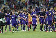 ФК Марибор. История словенских «фиалок» ФК Марибор Словения - Stone Forest