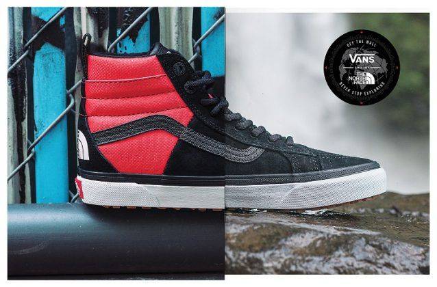 Обувь Vans x The North Face - Stone Forest