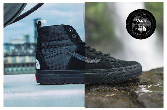 Обувь Vans x The North Face - Stone Forest