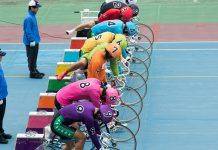 Велодром в Киото на фото Велодром в Киото - Stone Forest