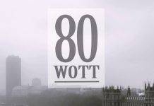 Интервью с основателем бренда WOTT 80 Александром Лебедевым WOTT 80 logo - Stone Forest
