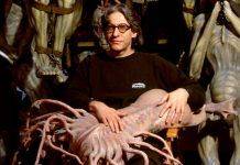 Ужасы Дэвида Кроненберга 80-х годов Ужасы Дэвида Кроненберга 80-х годов - Stone Forest