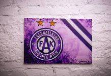 “Аустрия” Вена. История австрийских фиалок ФК Аустрия Вена - Stone Forest