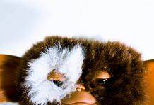 Гизмо из фильма “Гремлины” Гизмо из фильма Гремлины - Stone Forest