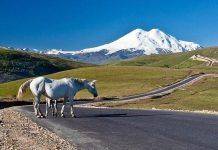 Что такое Приэльбрусье в общих чертах Что такое Приэльбрусье в общих чертах - Stone Forest