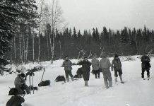 История трагической гибели студентов на перевале Дятлова Трагедия перевала Дятлова - Stone Forest