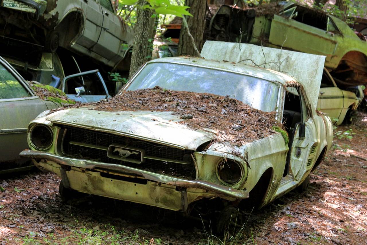 Брошенный мир машина. Форд Мустанг 1967 заброшенные. Додж Челленджер автосвалка. ВАЗ 2114 автосвалка. Свалка автомобилей.