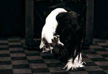 К 20-летию фильма «Звонок» – о его корнях в японской мифологии и влиянии на мировую киноиндустрию Садако из фильма Звонок - Stone Forest