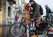 Первый модный показ Electra по случаю 25-летия бренда Electra Bicycle Company - Stone Forest