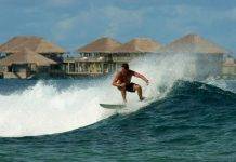 Доски для серфинга Доски для серфинга - Stone Forest
