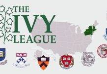 Университетская Лига Плюща Университетская Лига Плюща - Stone Forest