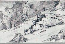 Как люди выживают при падении самолета Как люди выживают при падении самолета - Stone Forest