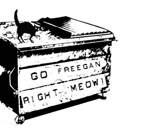 Фриганы – идейные искатели бесплатной еды в каменных джунглях Фриганы - Stone Forest