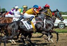 Скачки. Большая страсть Сэра Алекса Фергюсона Скачки - Stone Forest